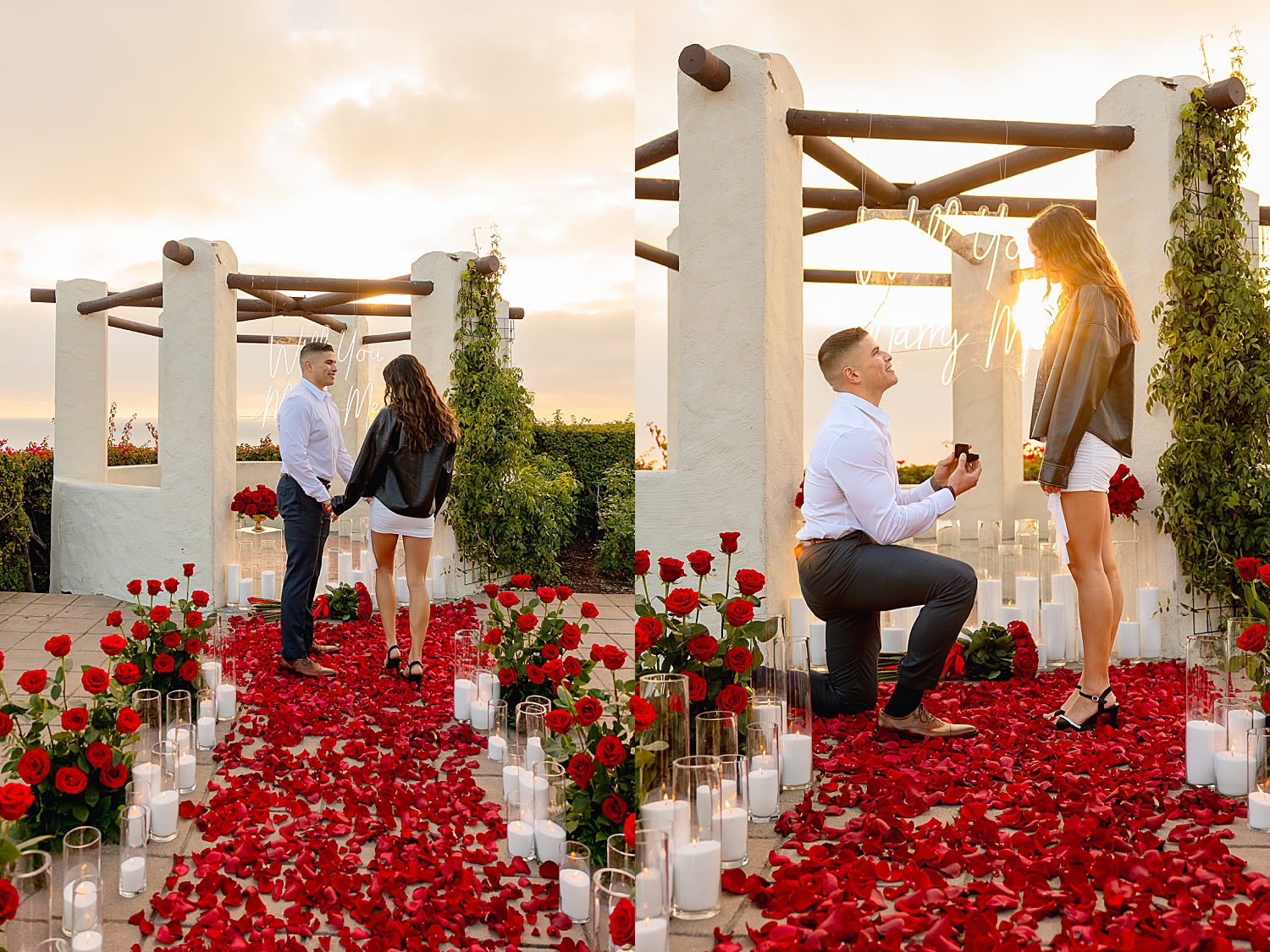 man kneels on red rose petals for epic proposal by Desiree Ashley Photography