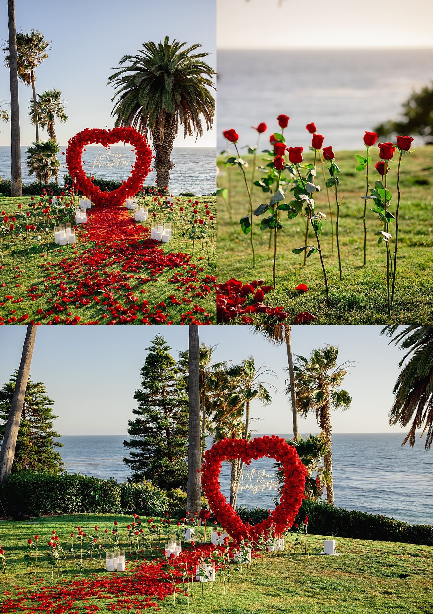 heart made of red roses set up overlooking the coast for Coastal Sunset Proposal