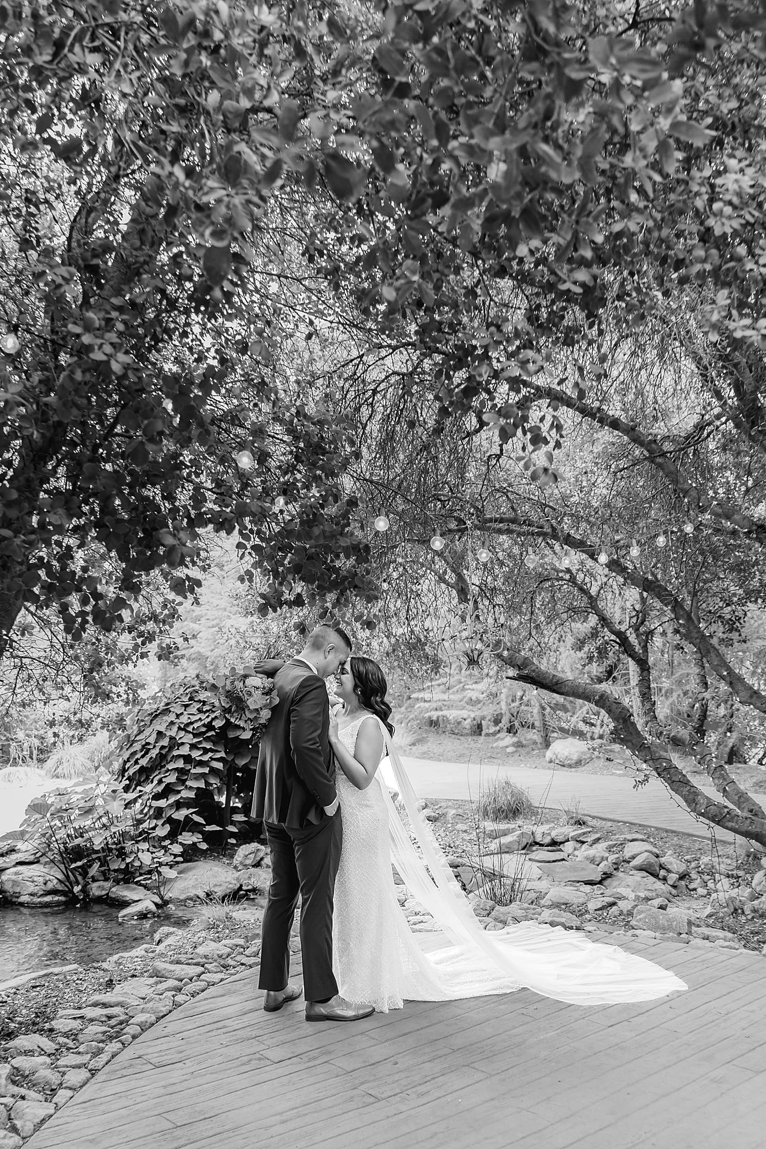 bride and groom stand on path under large trees at Serendipity Gardens