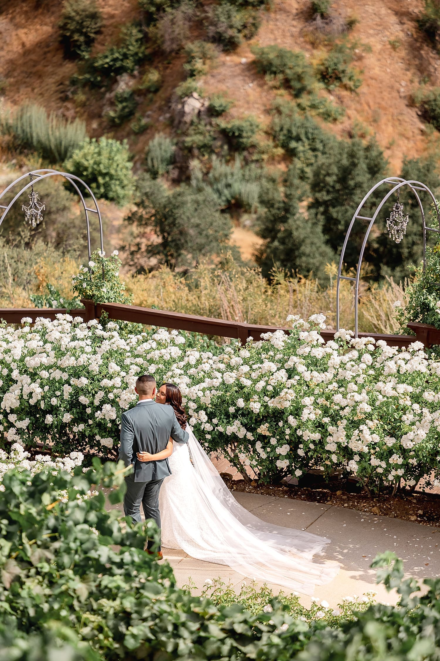 man and woman stroll through white rose garden by Desiree Ashley Photography
